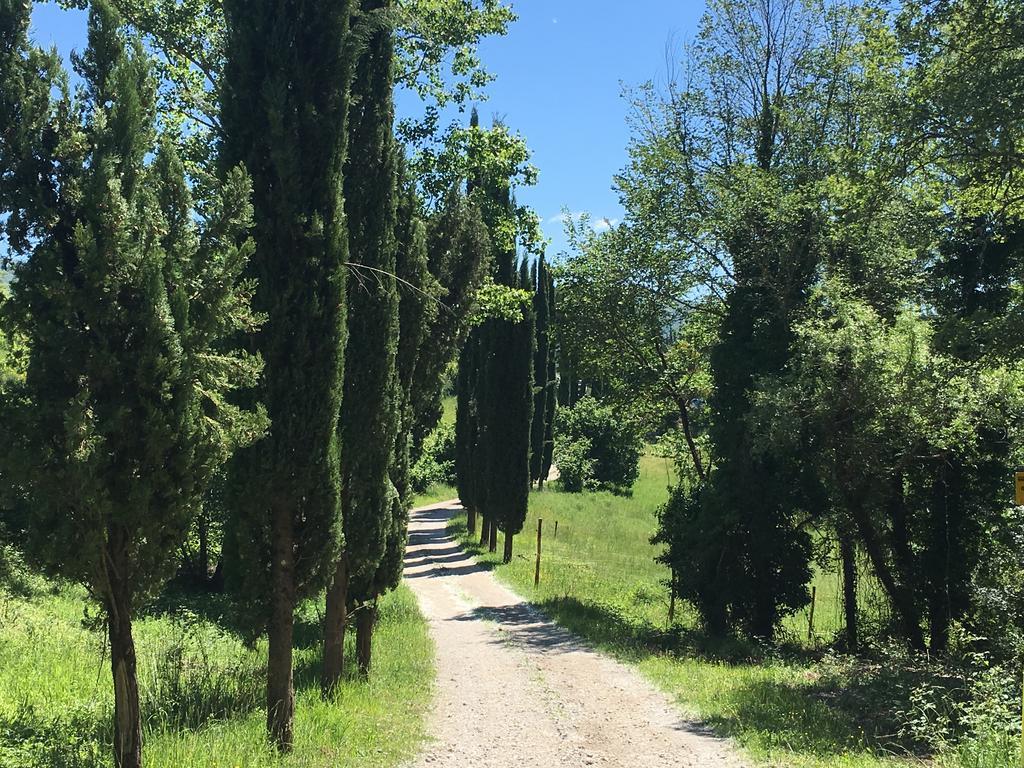 ראדה אין קיאנטי Podere Terreno Alla Via Della Volpaia מראה חיצוני תמונה