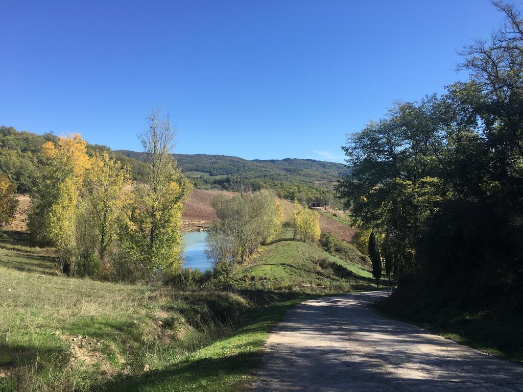 ראדה אין קיאנטי Podere Terreno Alla Via Della Volpaia מראה חיצוני תמונה